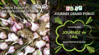 Journée de l’ail au Grand Marché de Québec, 3 octobre 2026, avec bulbes d’ail fraîchement récoltés en arrière-plan.