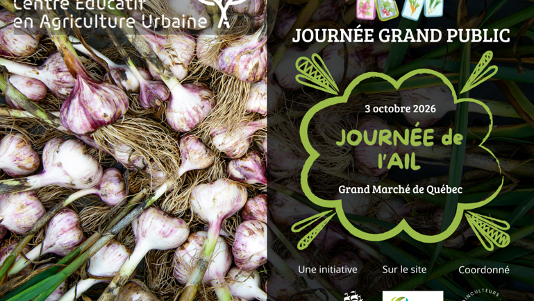 Journée de l’ail au Grand Marché de Québec, 3 octobre 2026, avec bulbes d’ail fraîchement récoltés en arrière-plan.
