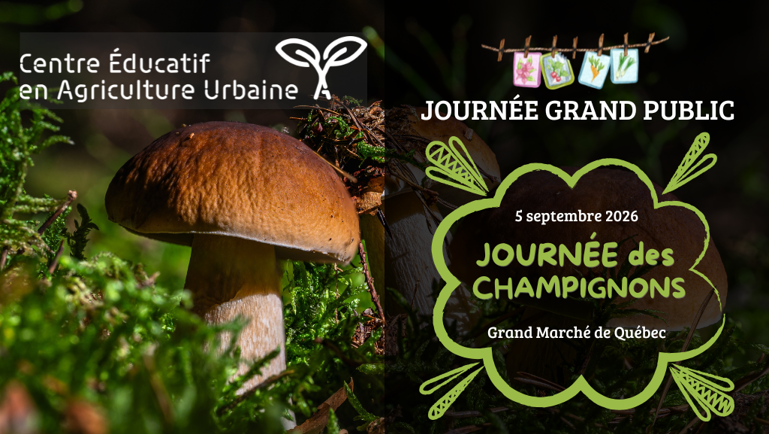 Journée des champignons au Grand Marché de Québec, 5 septembre 2026, avec gros champignons poussant dans la mousse.