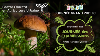Journée des champignons au Grand Marché de Québec, 5 septembre 2026, avec gros champignons poussant dans la mousse.