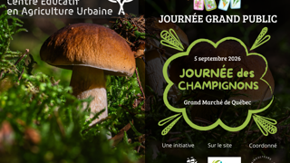 Journée des champignons au Grand Marché de Québec, 5 septembre 2026, avec gros champignons poussant dans la mousse.