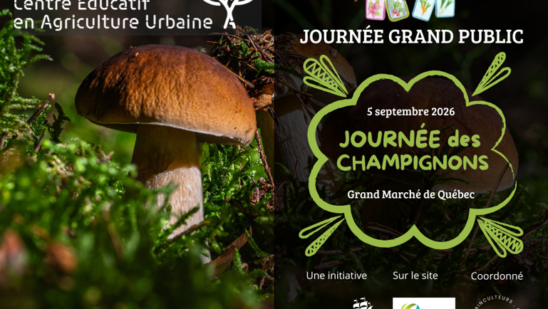 Journée des champignons au Grand Marché de Québec, 5 septembre 2026, avec gros champignons poussant dans la mousse.
