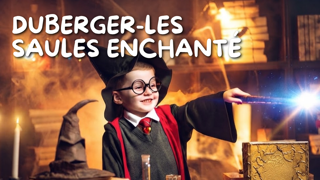 Duberger-Les Saules enchanté