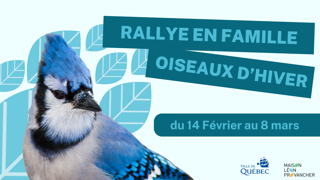 Rallye en famille - Oiseaux d'hiver - du 14 Février au 8 mars