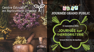 Journée des champignons au Grand Marché de Québec, 5 septembre 2026, avec gros champignons poussant dans la mousse.
