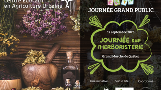 Journée des champignons au Grand Marché de Québec, 5 septembre 2026, avec gros champignons poussant dans la mousse.