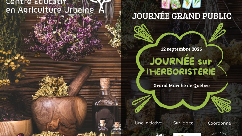 Journée des champignons au Grand Marché de Québec, 5 septembre 2026, avec gros champignons poussant dans la mousse.
